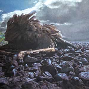 Bush hen: Road Kill series