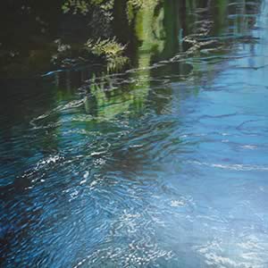 Life Blood: Tasmanian River Series – Forth River 1