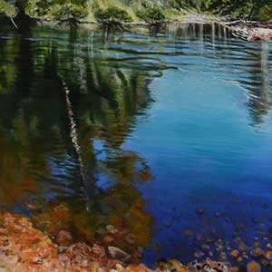 Life Blood: Tasmanian River Series – Forth River 2