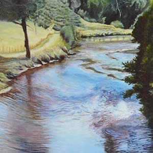 Life Blood: Tasmanian River Series – Inglis River 2