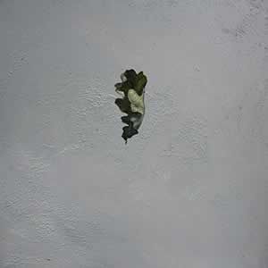 Art, Life & Other Things: Transient States