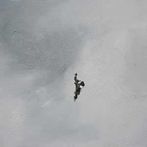 Art, Life & Other Things: Transient States