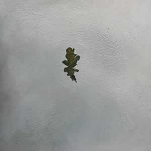 Art, Life & Other Things: Transient States