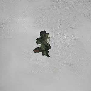 Art, Life & Other Things: Transient States