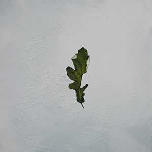 Art, Life & Other Things: Transient States