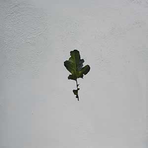 Art, Life & Other Things: Transient States