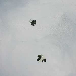 Art, Life & Other Things: Transient States