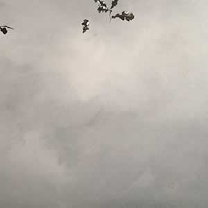 Art, Life & Other Things: Transient States