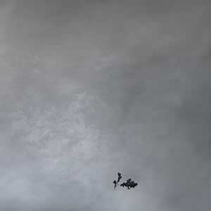 Art, Life & Other Things: Transient States