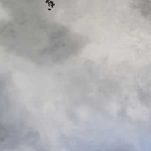 Art, Life & Other Things: Transient States