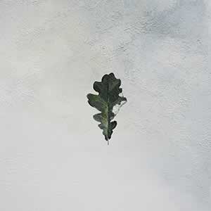 Art, Life & Other Things: Transient States