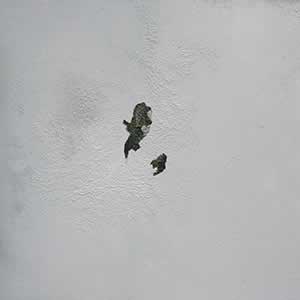 Art, Life & Other Things: Transient States