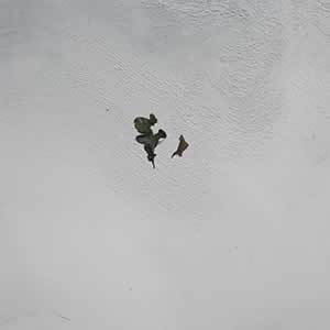 Art, Life & Other Things: Transient States