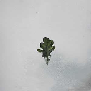 Art, Life & Other Things: Transient States