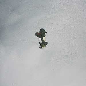 Art, Life & Other Things: Transient States