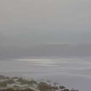 Respite: After the Rains