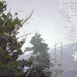 Plateau Memoirs III Pencil Pines