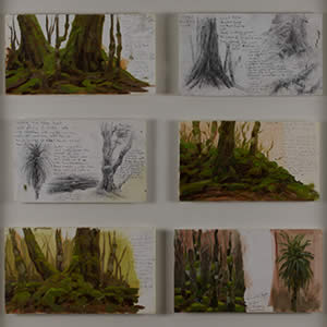 Plein-Air Studies