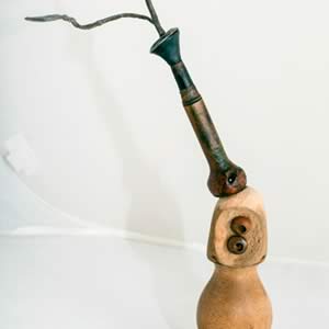 Rhombosolea tapirinia