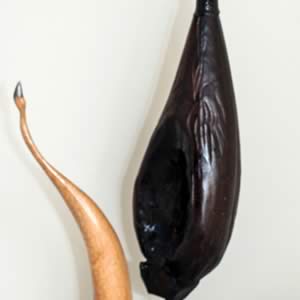 Macropus rufogriseus (with club)