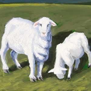 Ewe and lamb