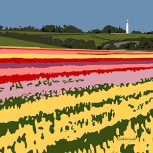 Approaching Storm, Table Cape