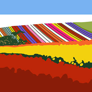 Colour Shock at Table Cape