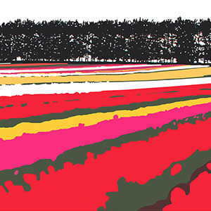 Landscape of Contrast