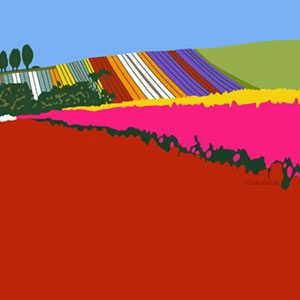 Table Cape, Colour Shock