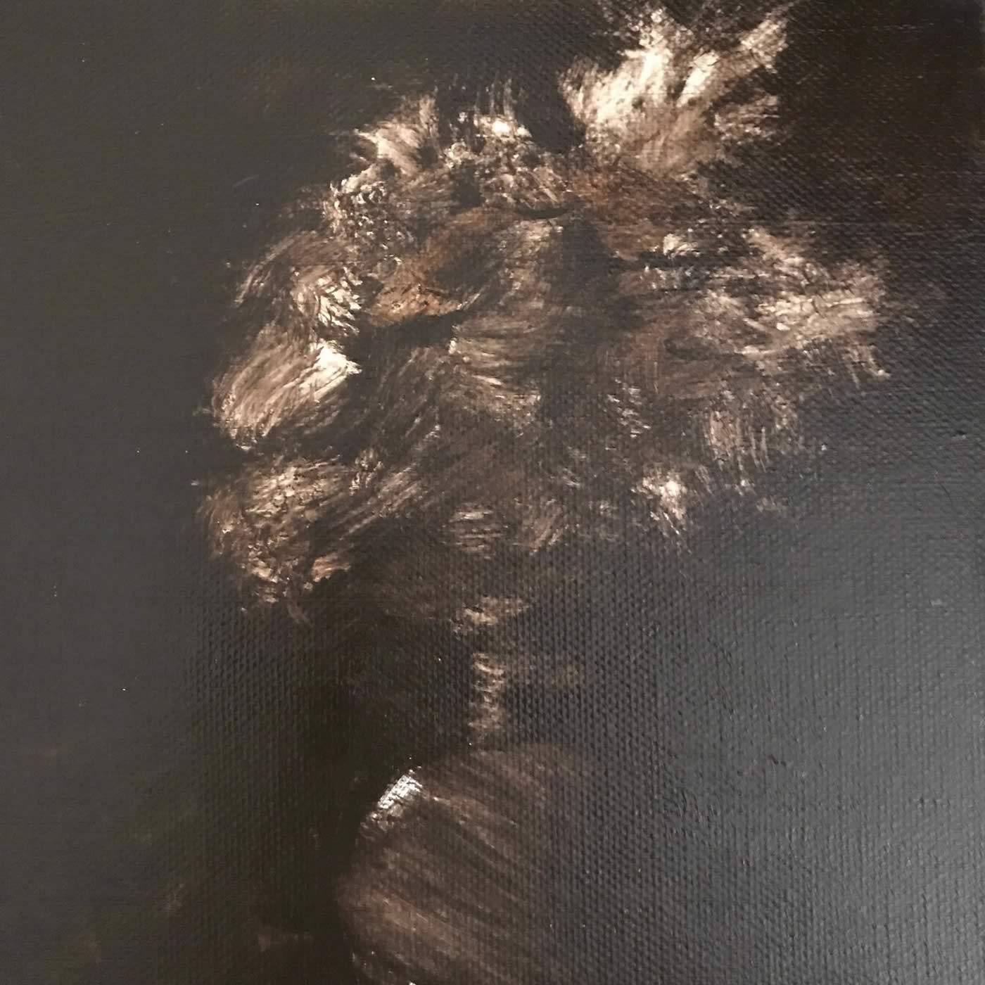 Fragments: Gorge Cottage 13, Vanessa Wallace