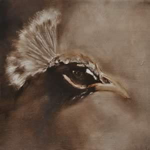 Don&rsquo;t Feed the Peacock