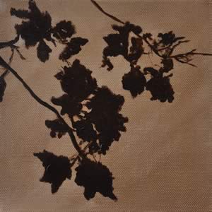 Fragments: Gorge Cottage 4