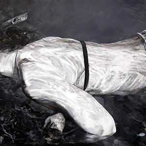 The Little Coloured Fish