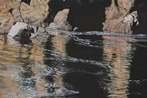 Life Blood: Tasmanian River Series &ndash; Devil&rsquo;s Elbow 1