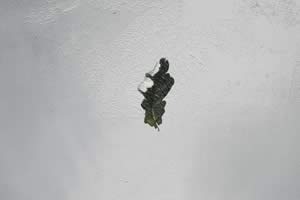 Art, Life and Other Things: Transient States