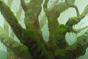 Somewhere in the Tarkine by Clifford How