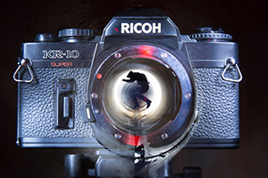 sensorship (detail) by Jasper Da Seymour